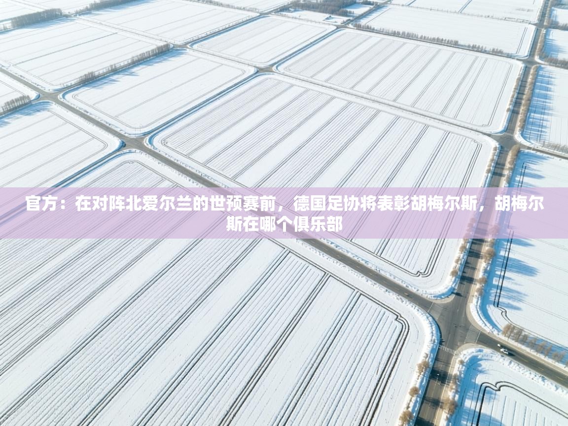 云开体育官网-官方：在对阵北爱尔兰的世预赛前，德国足协将表彰胡梅尔斯，胡梅尔斯在哪个俱乐部