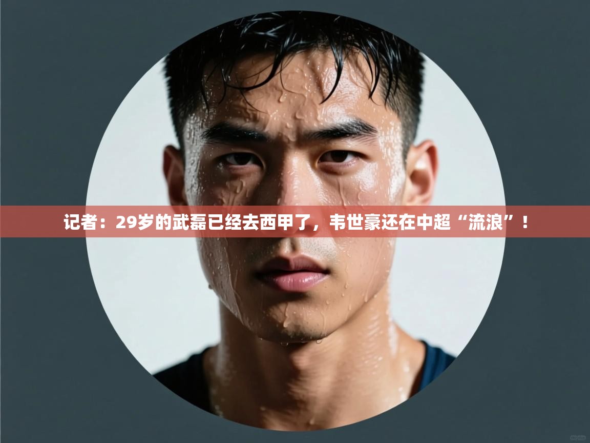 云开体育官网登录入口-记者:29岁的武磊已经去西甲了,韦世豪还在中超“流浪”! 第2张