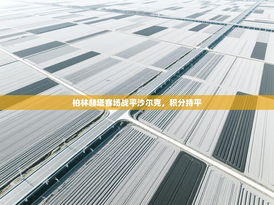 开云体育app官网下载地址-柏林赫塔客场战平沙尔克，积分持平