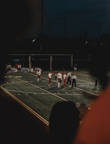 开云体育app下载安卓-欧洲杯预选赛再次掀起热潮，球迷声声欢呼  第2张